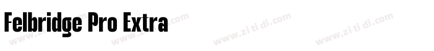 Felbridge Pro Extra字体转换